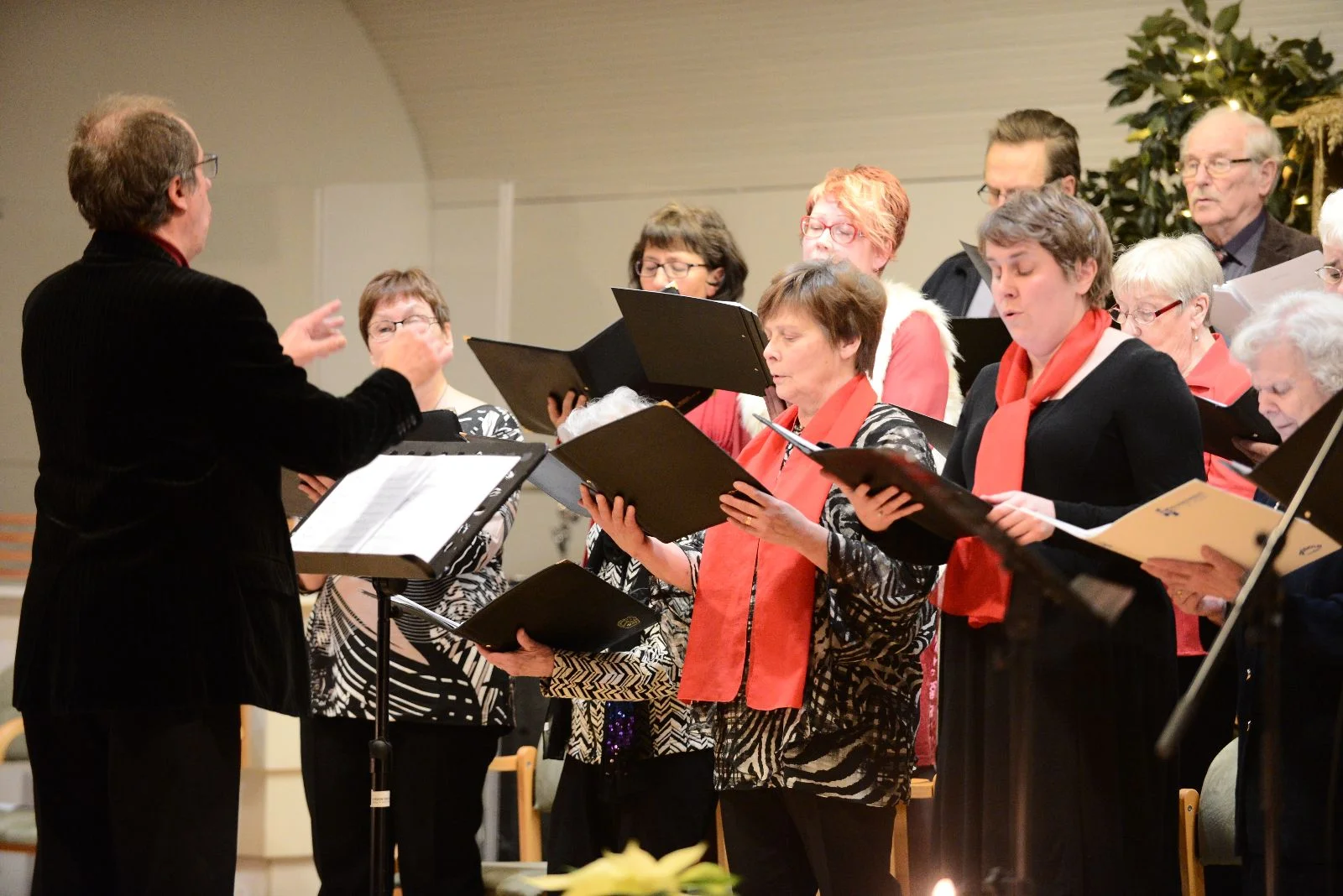 WhatsApp Image 2016-12-19 at 5.25.14 PM.jpeg