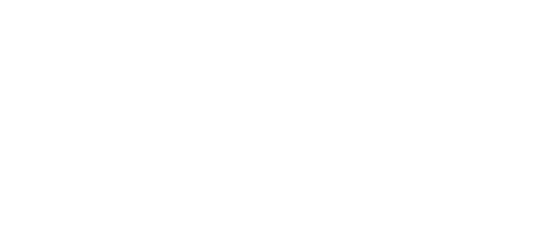 STICHTING PLANT EEN OLIJFBOOM logo
