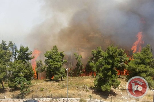 Beeld: Ma'an News Agency
