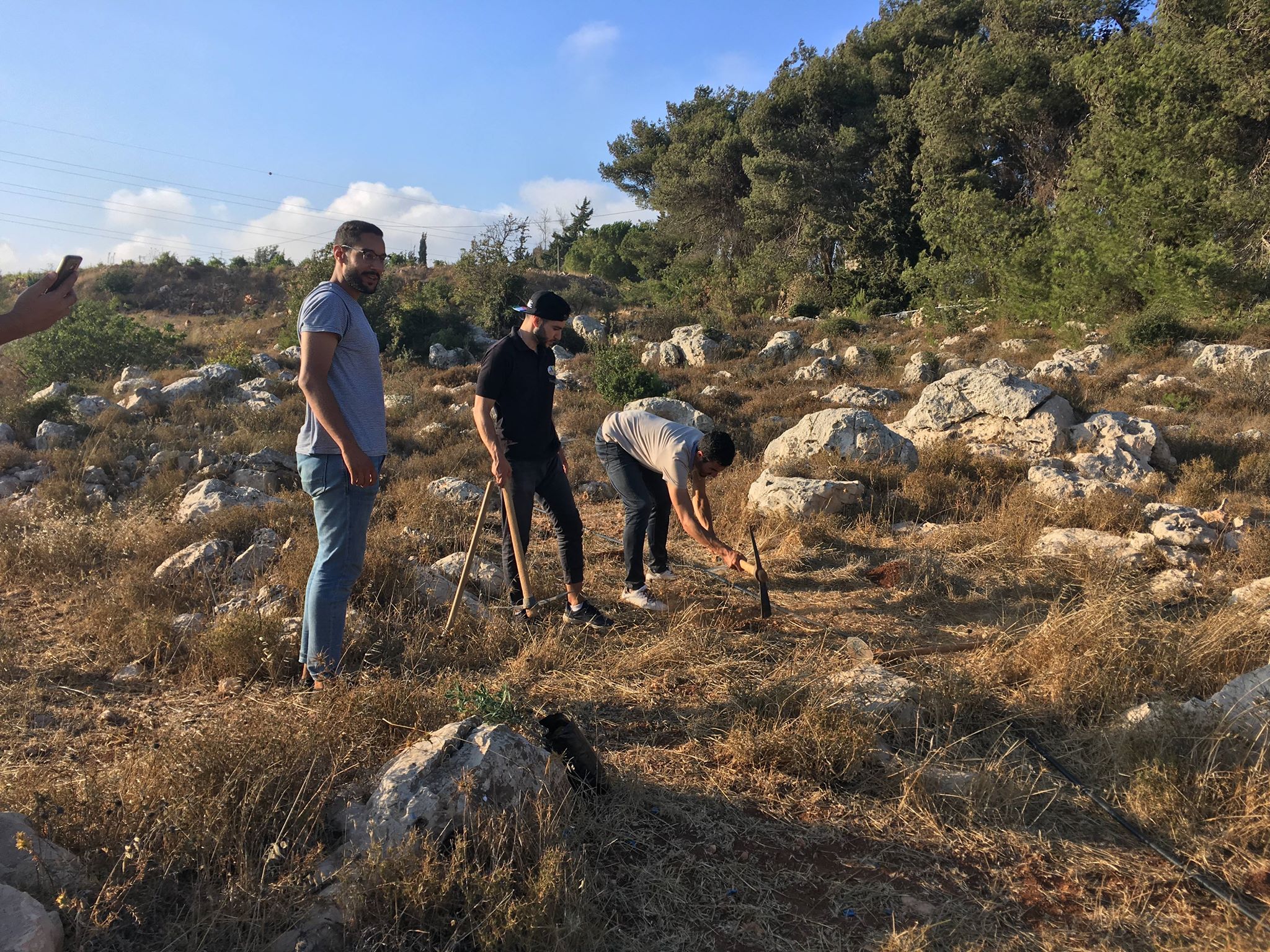 Mustafa, Wissam en Adel planten 55 bomen