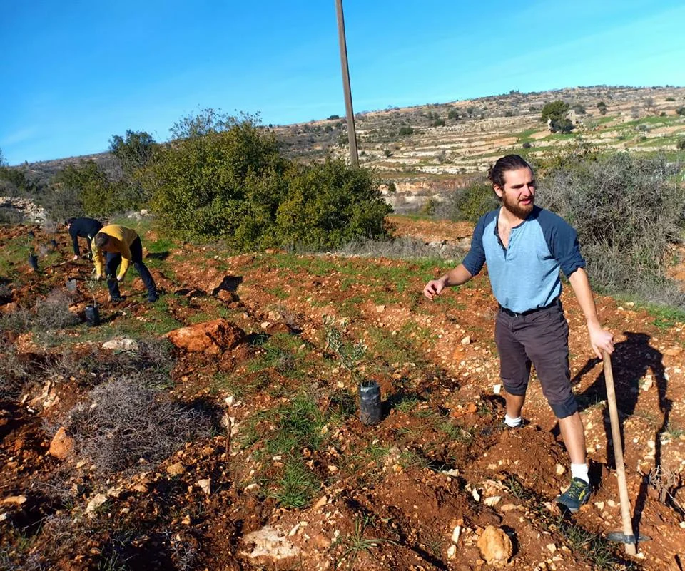 Planting Clemens 9.jpg