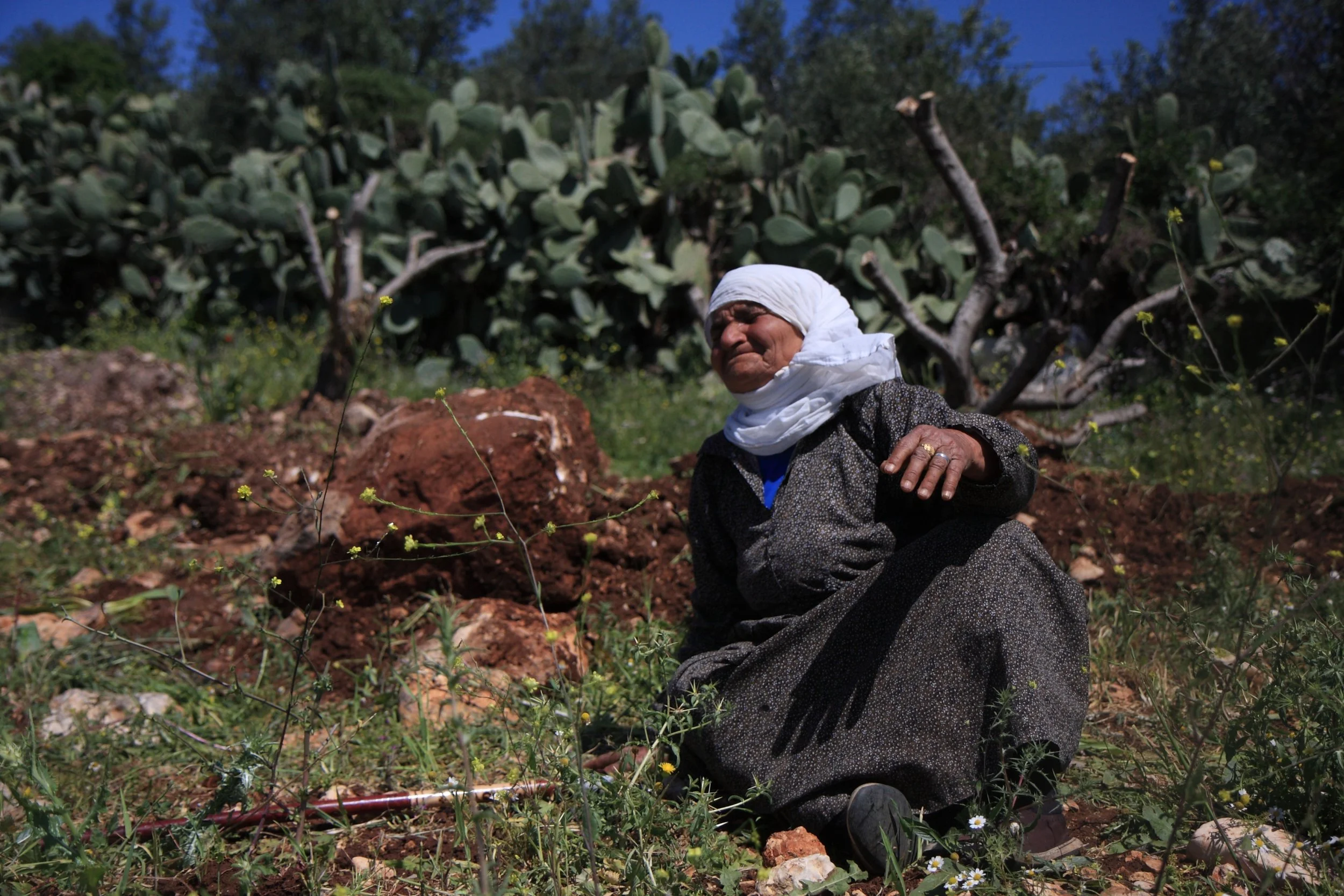 Palestijnse vrouw op haar land na vernieling olijfbomen. Foto: Anne Paq