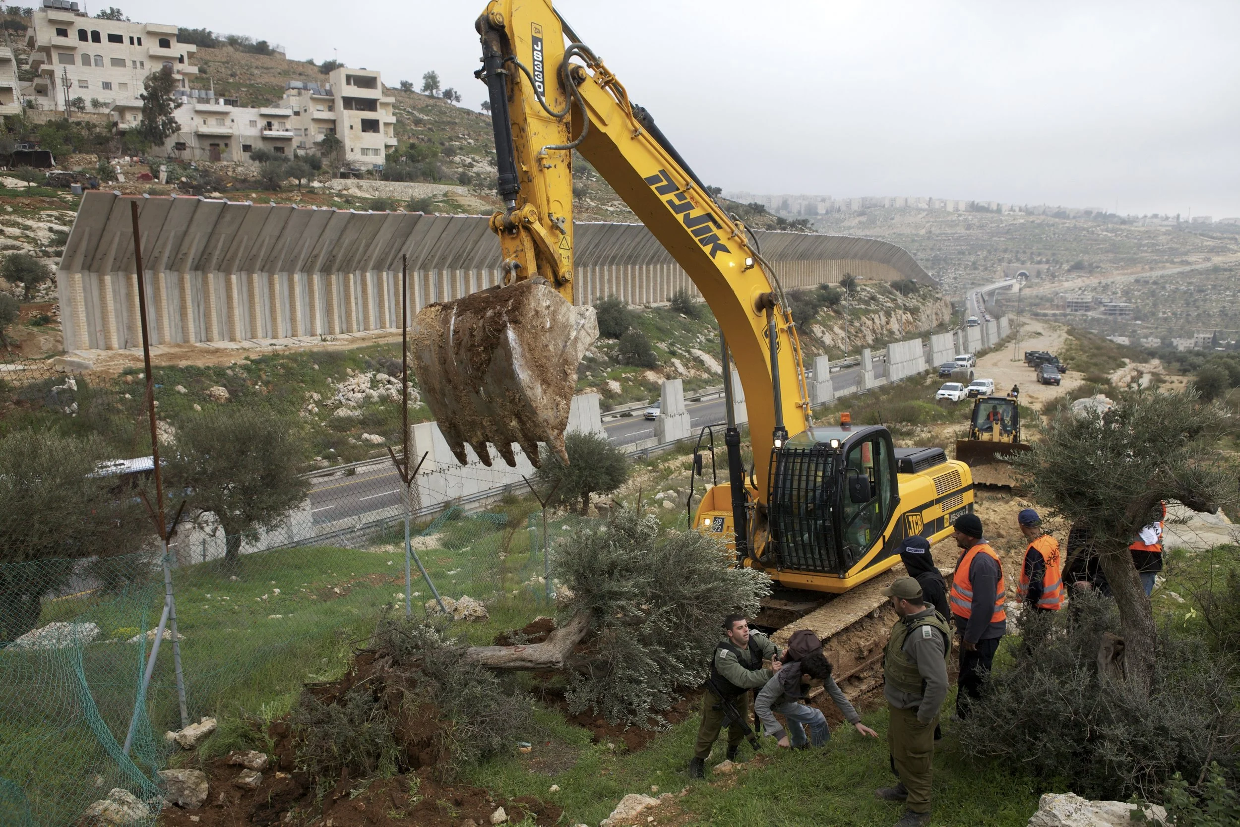 Israëlische bulldozer vernield olijfbomen en de Palestijnen die het proberen te stoppen worden door soldaten tegengehouden. Foto: Anne Paq