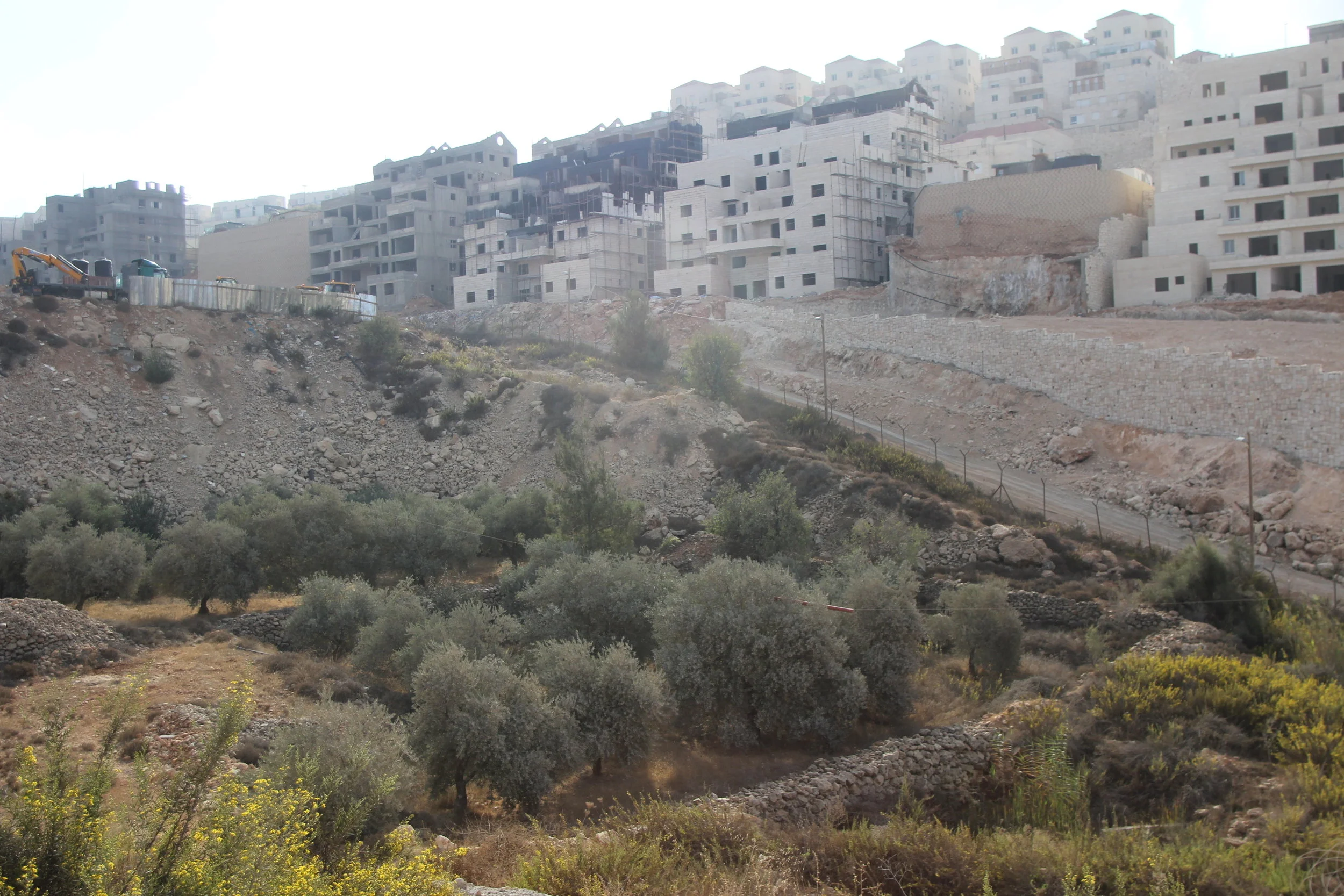 Boven: Israëlische nederzetting, onder: bomen van een Palestijnse landeigenaar