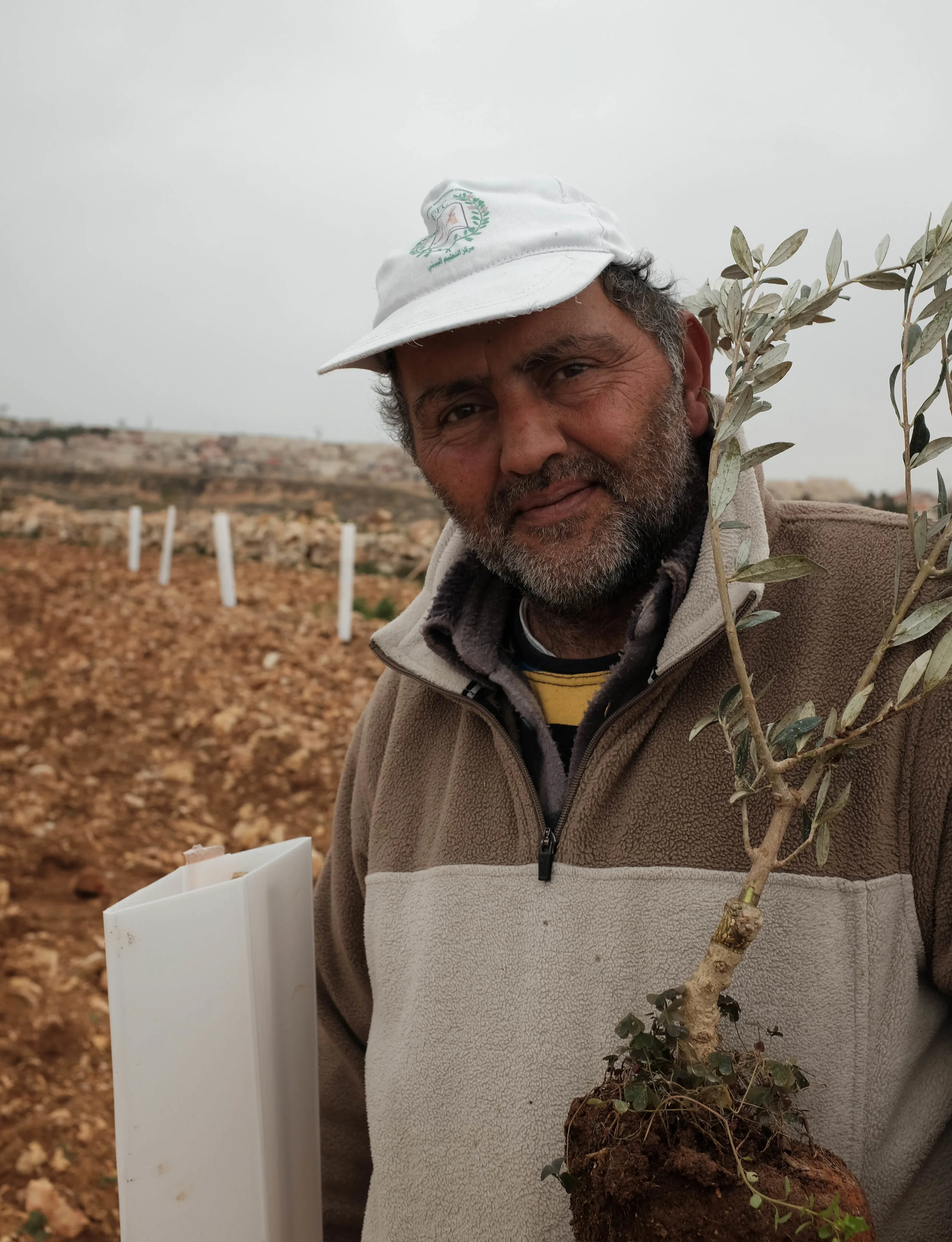 Nicola al-Saras