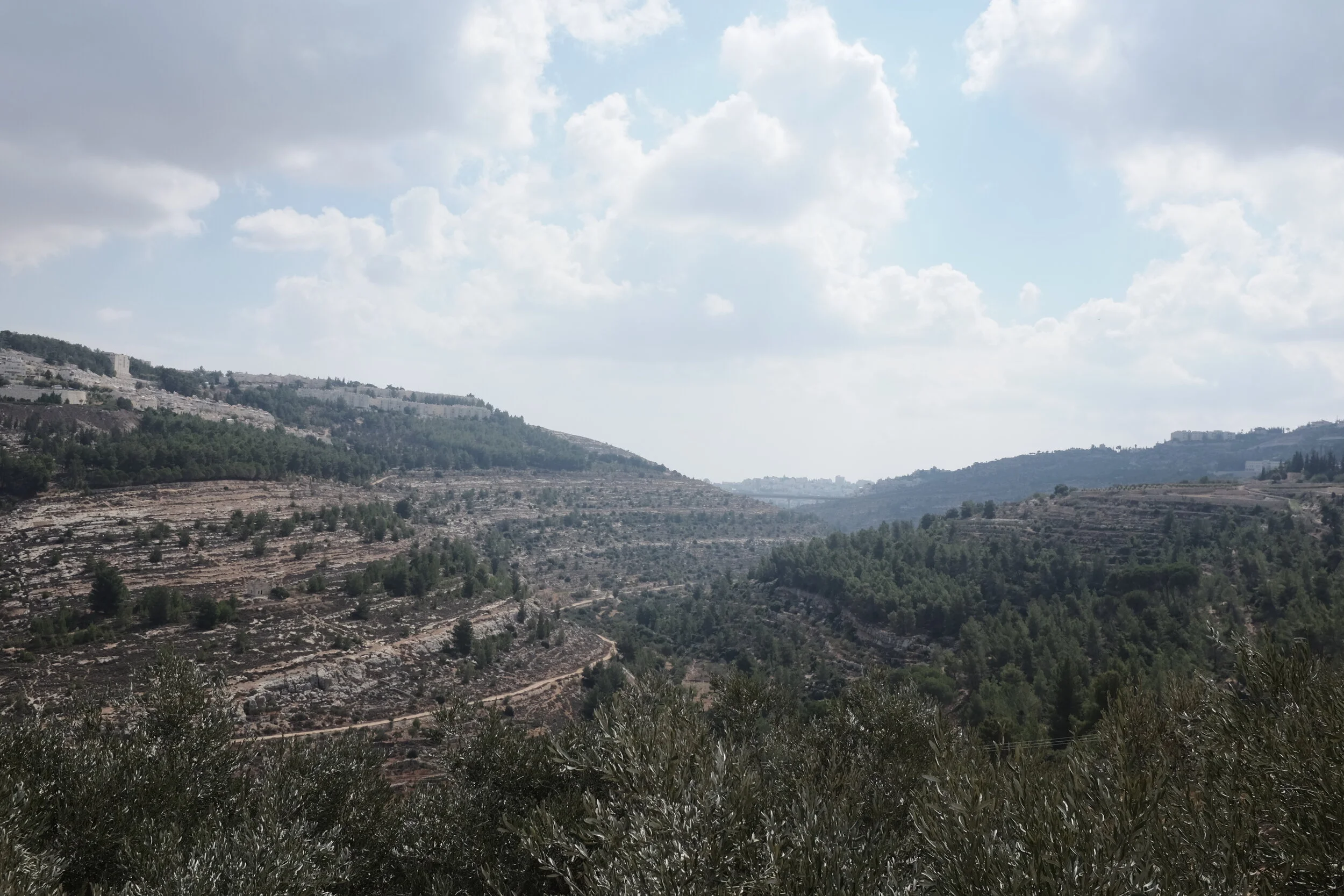 DSCF0744 Vallei pano.JPG