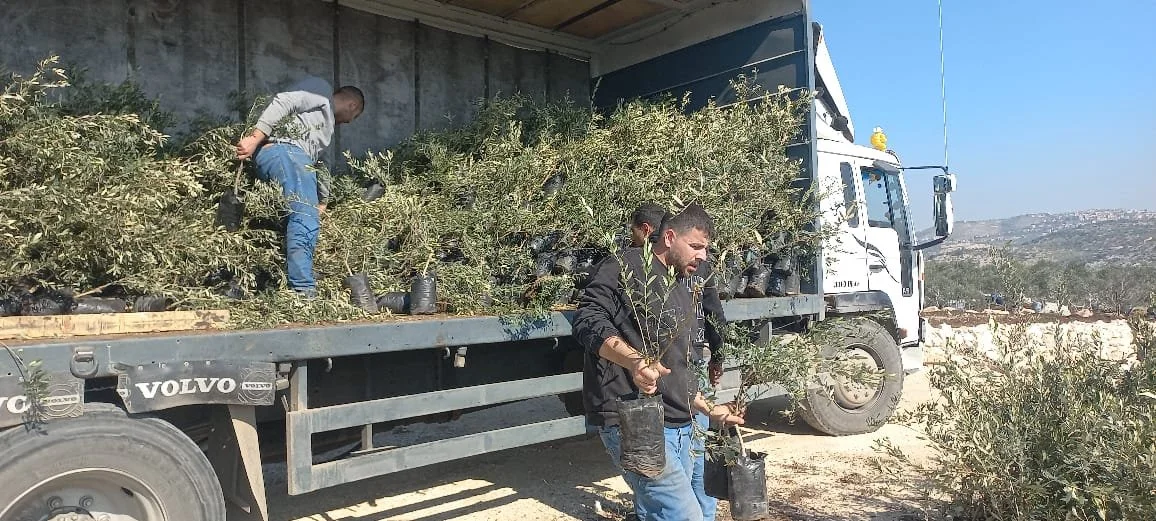 Update bomen en Palestina Fonds