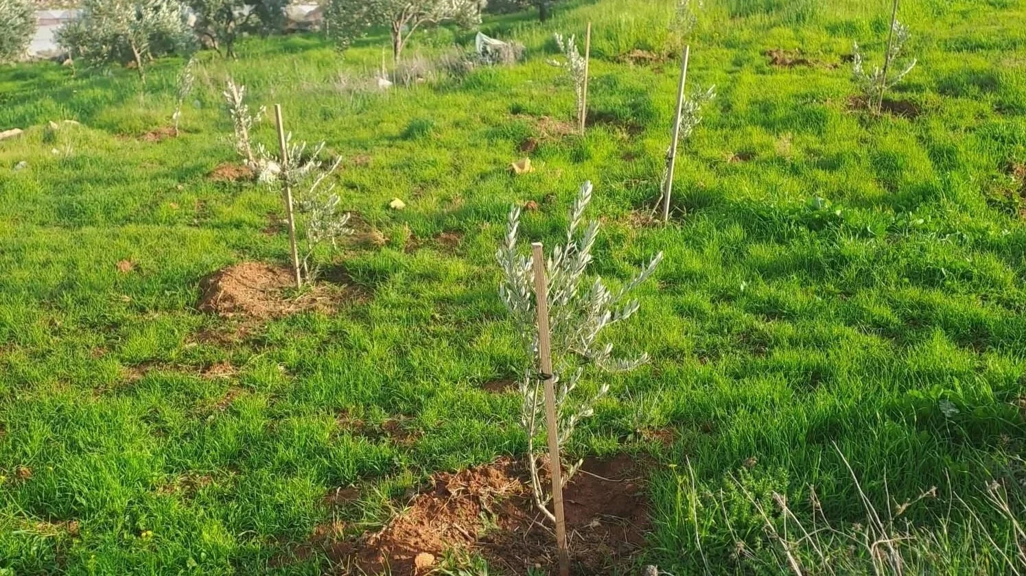 Plantseizoen in volle gang