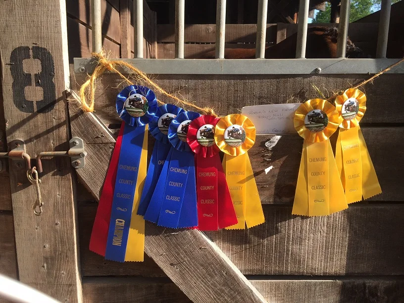 ribbons.jpg