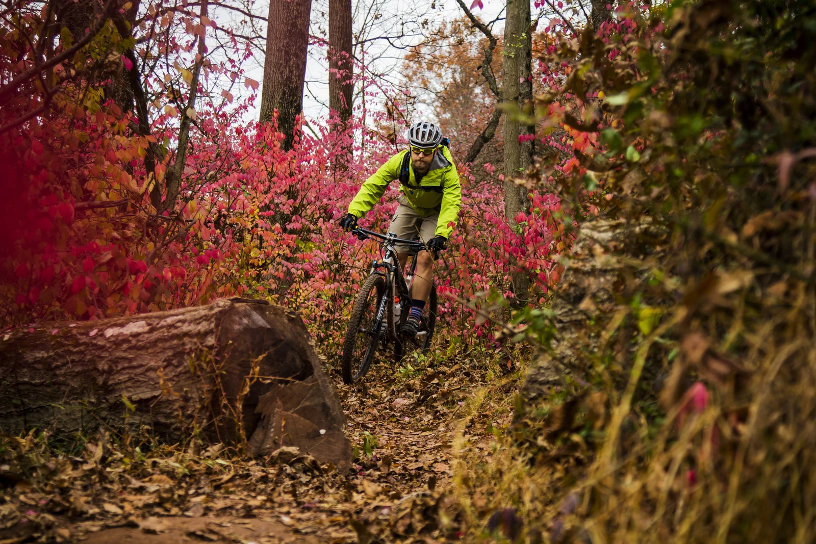 SixMileInPink3.jpg