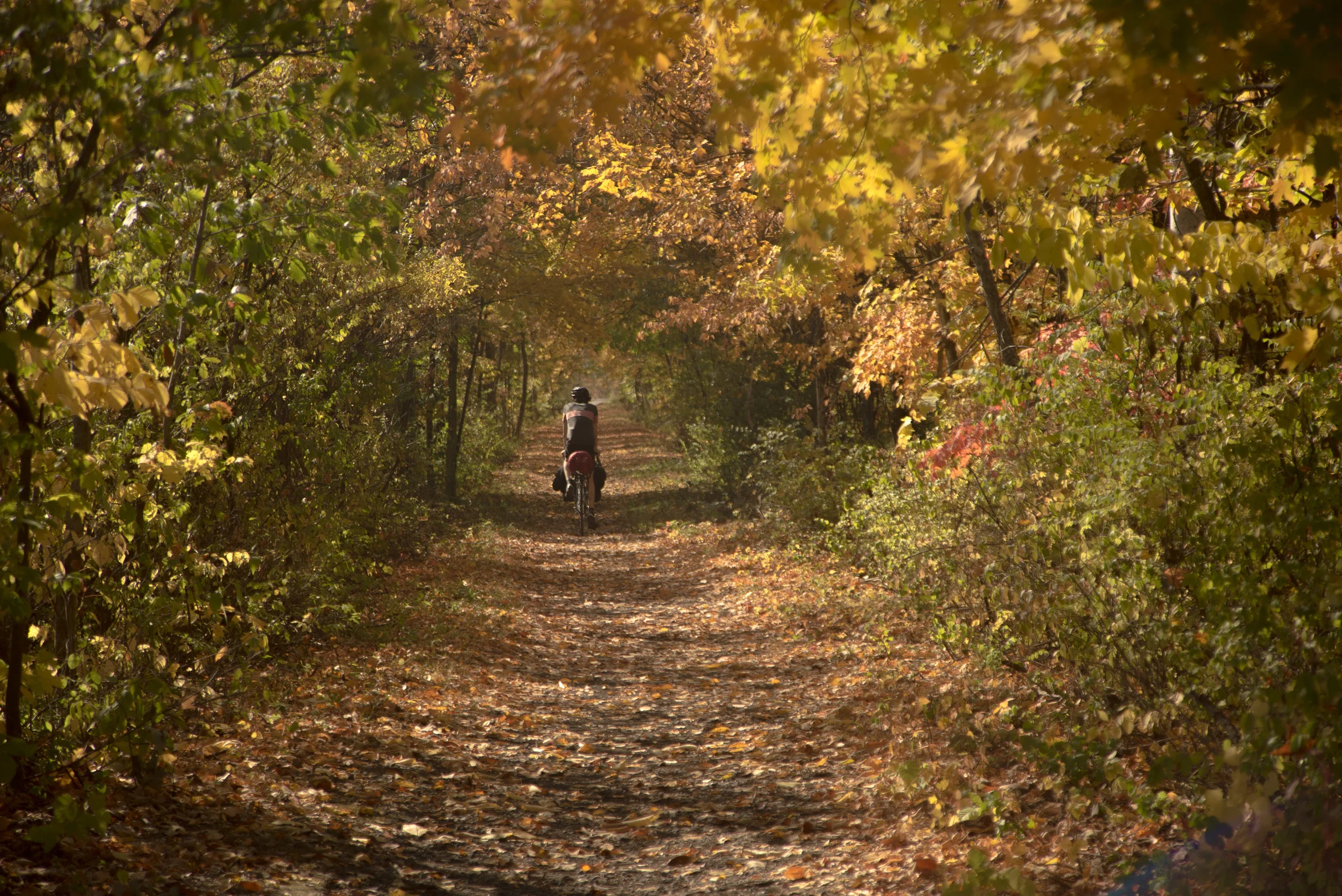 tallbiketour-adamnawrot-13.JPG