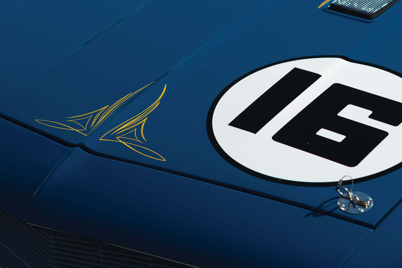 AM16_r169_009.jpg