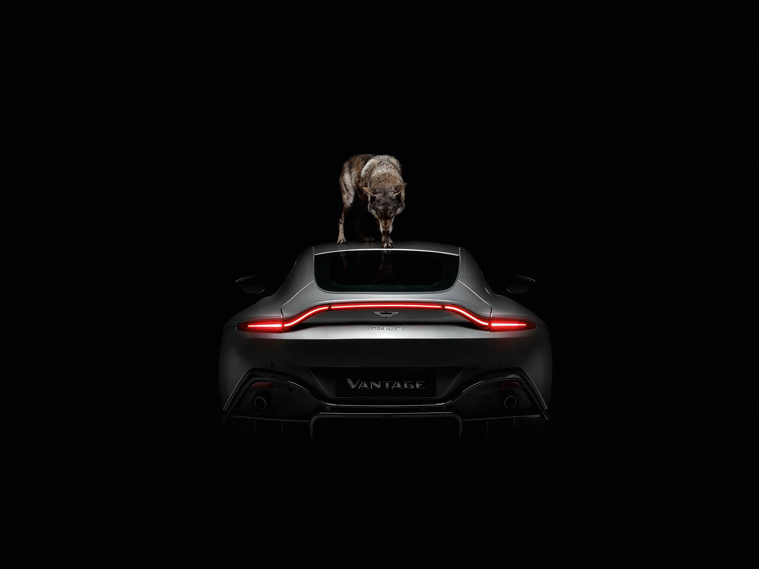 Aston Martin New Vantage_Rankin_01.jpg