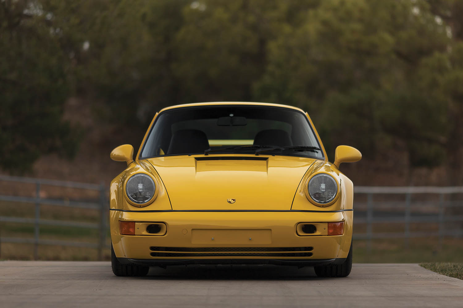 1993-Porsche-911-Carrera-RS-3-8_8.jpg