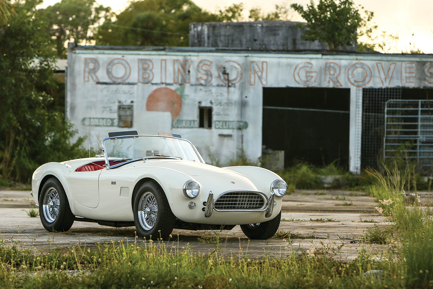 1964-Shelby-289-Cobra_0.jpg