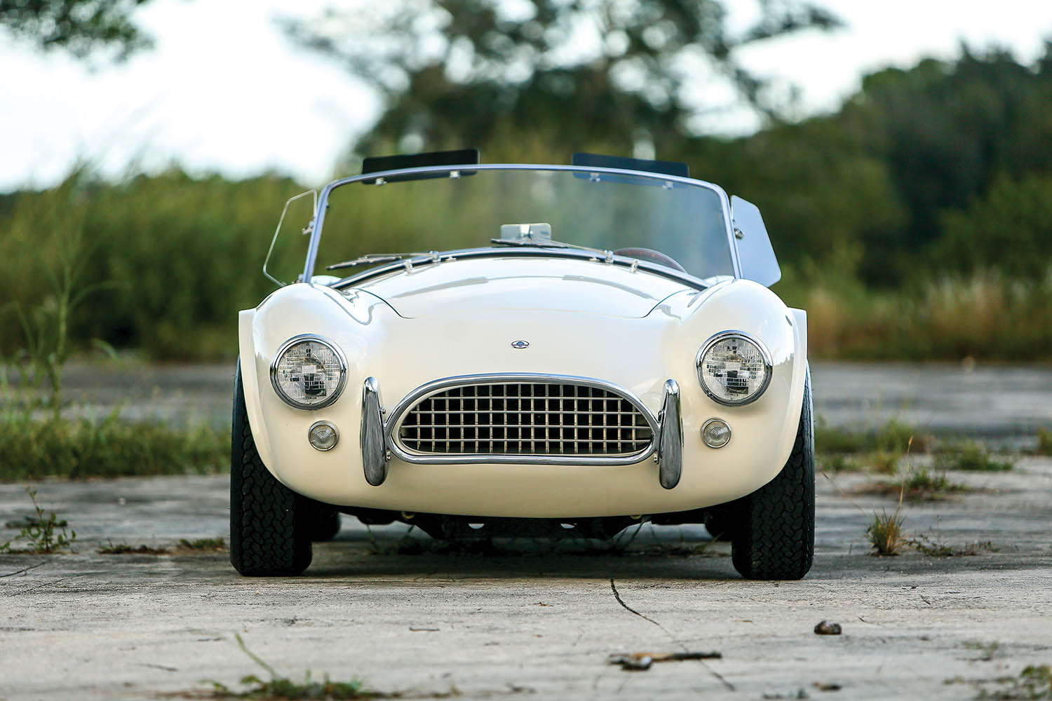 1964-Shelby-289-Cobra_5.jpg