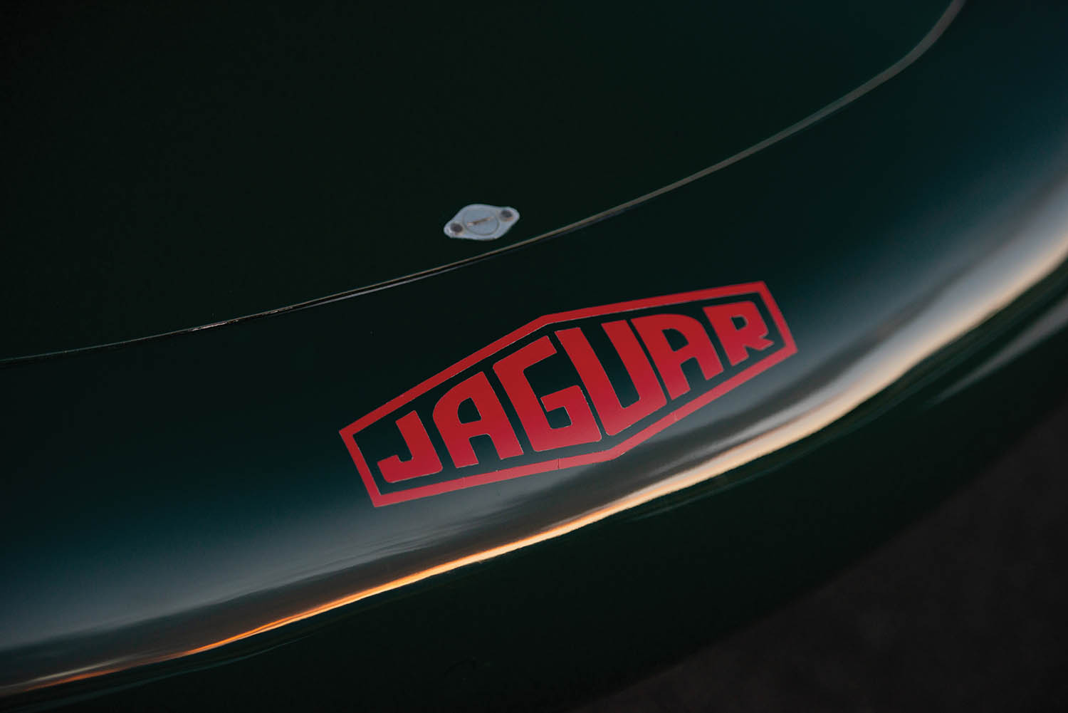 1966-Jaguar-XJ13-Recreation-by-Tempero_5.jpg