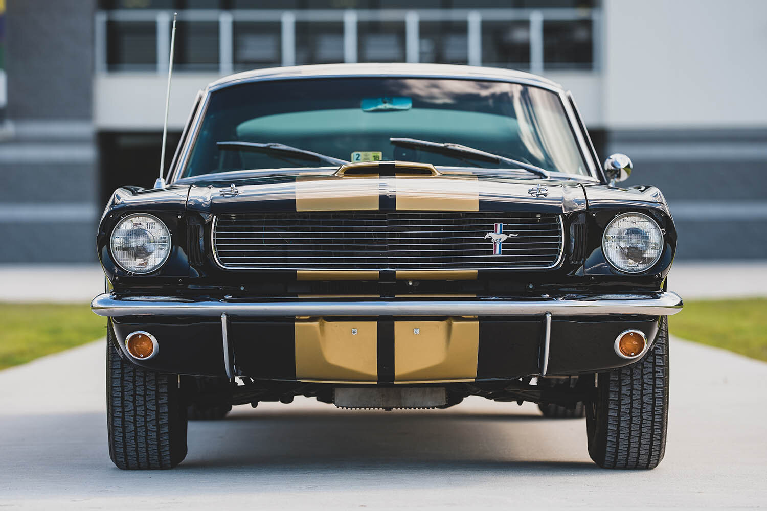 1966-Shelby-GT350-H-_5.jpg