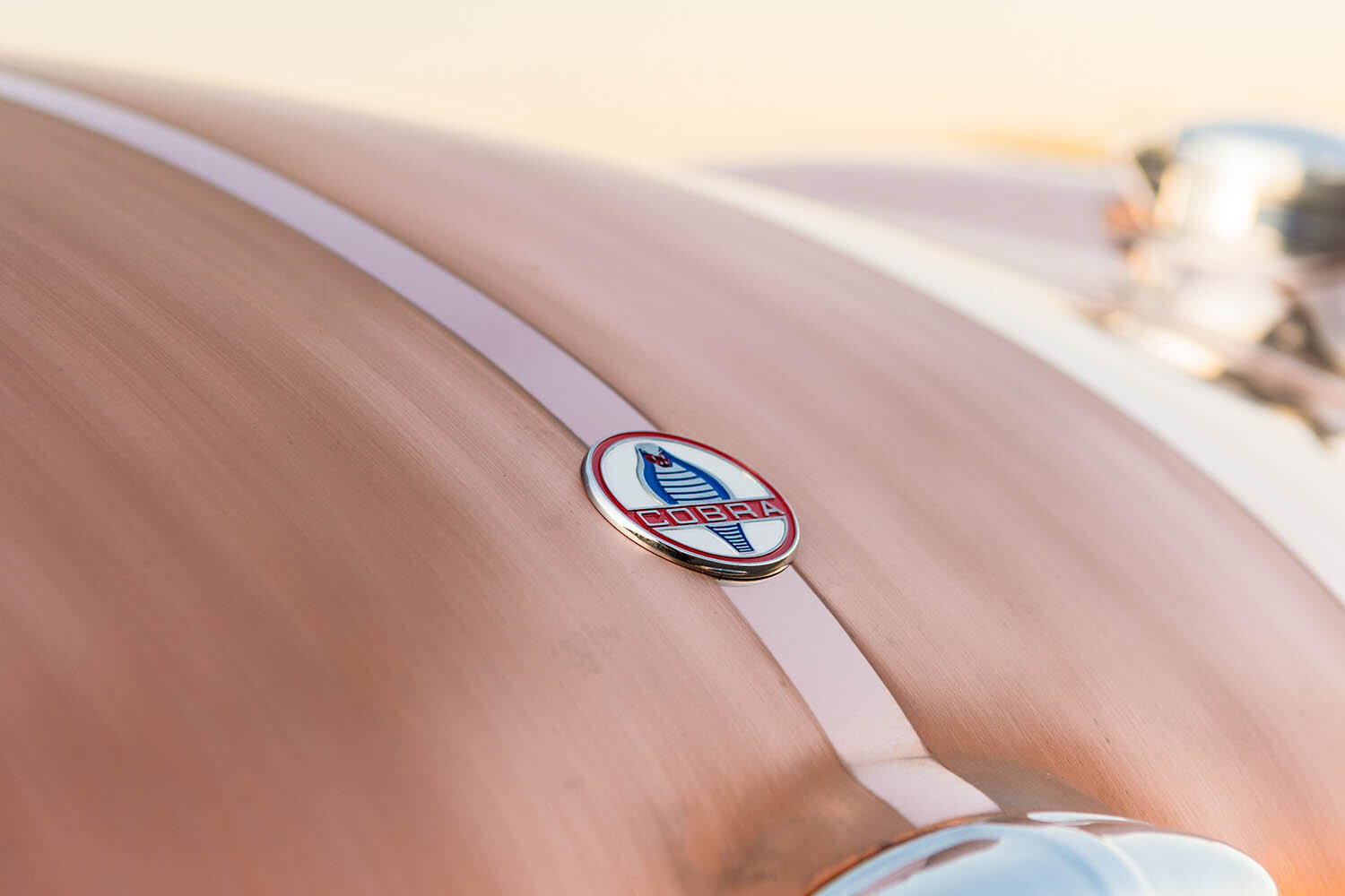 1965-Shelby-427-S_C-Cobra--CSX-4602--_19.jpg