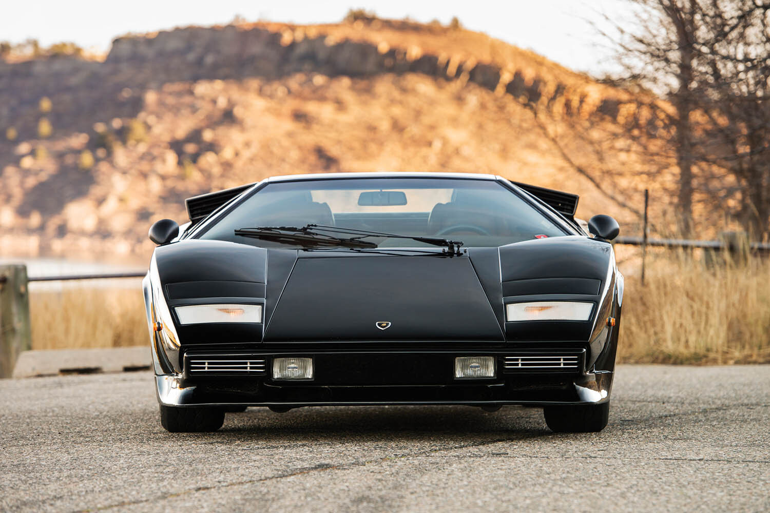 1979-Lamborghini-Countach-LP400-S-Series-I-by-Bertone_5.jpg