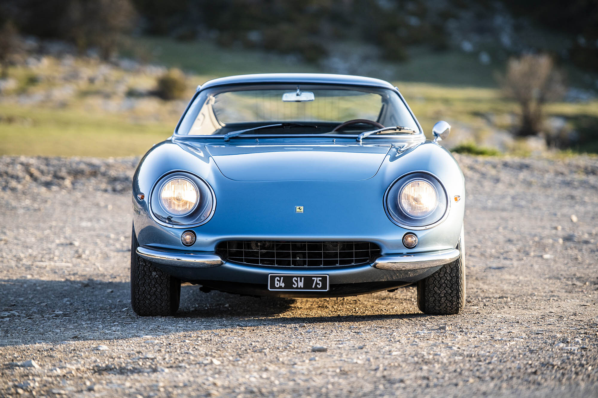 1966-Ferrari-275-GTB-by-Scaglietti_8.jpg