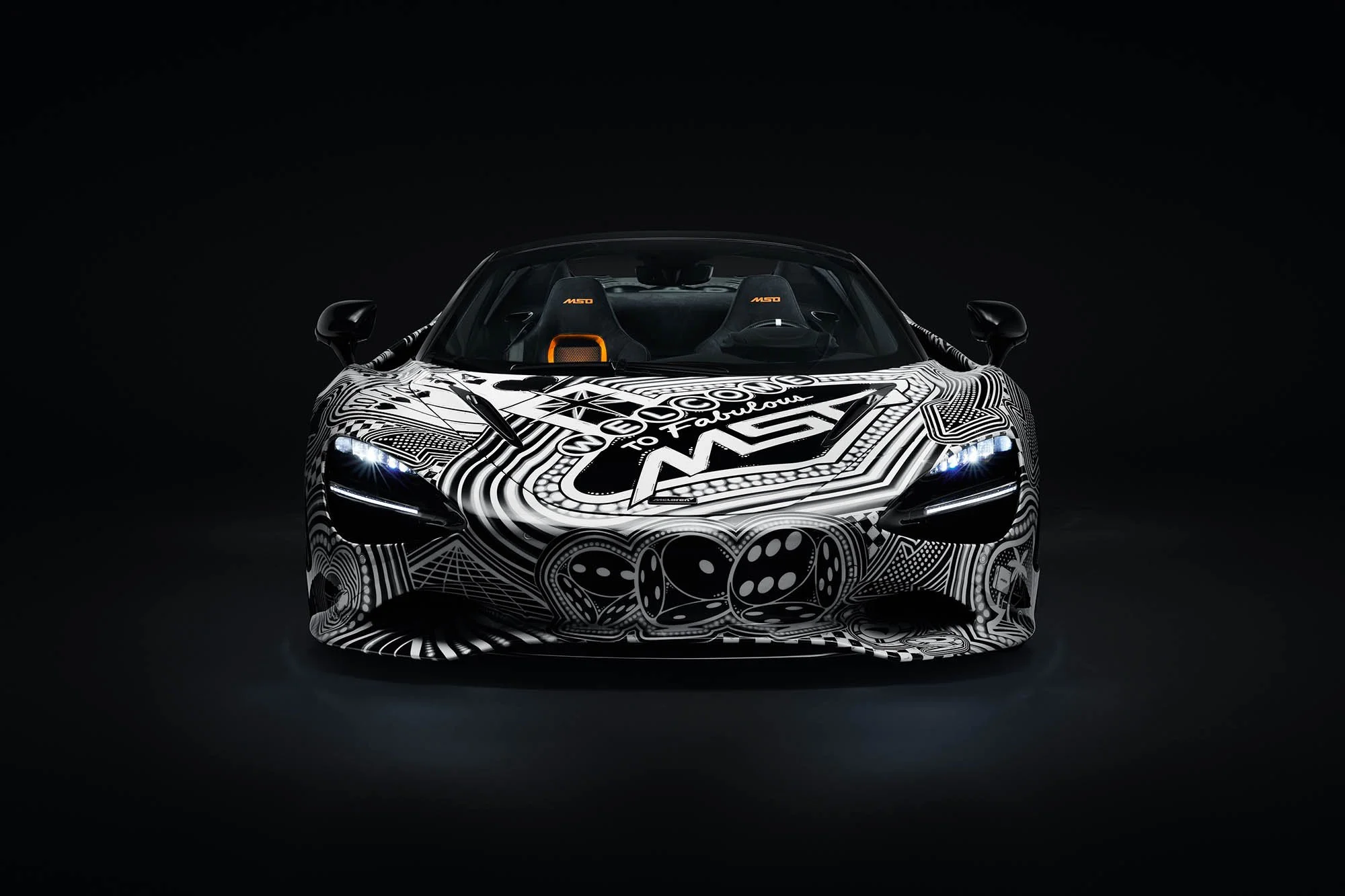 2. Project Viva head-on.jpg