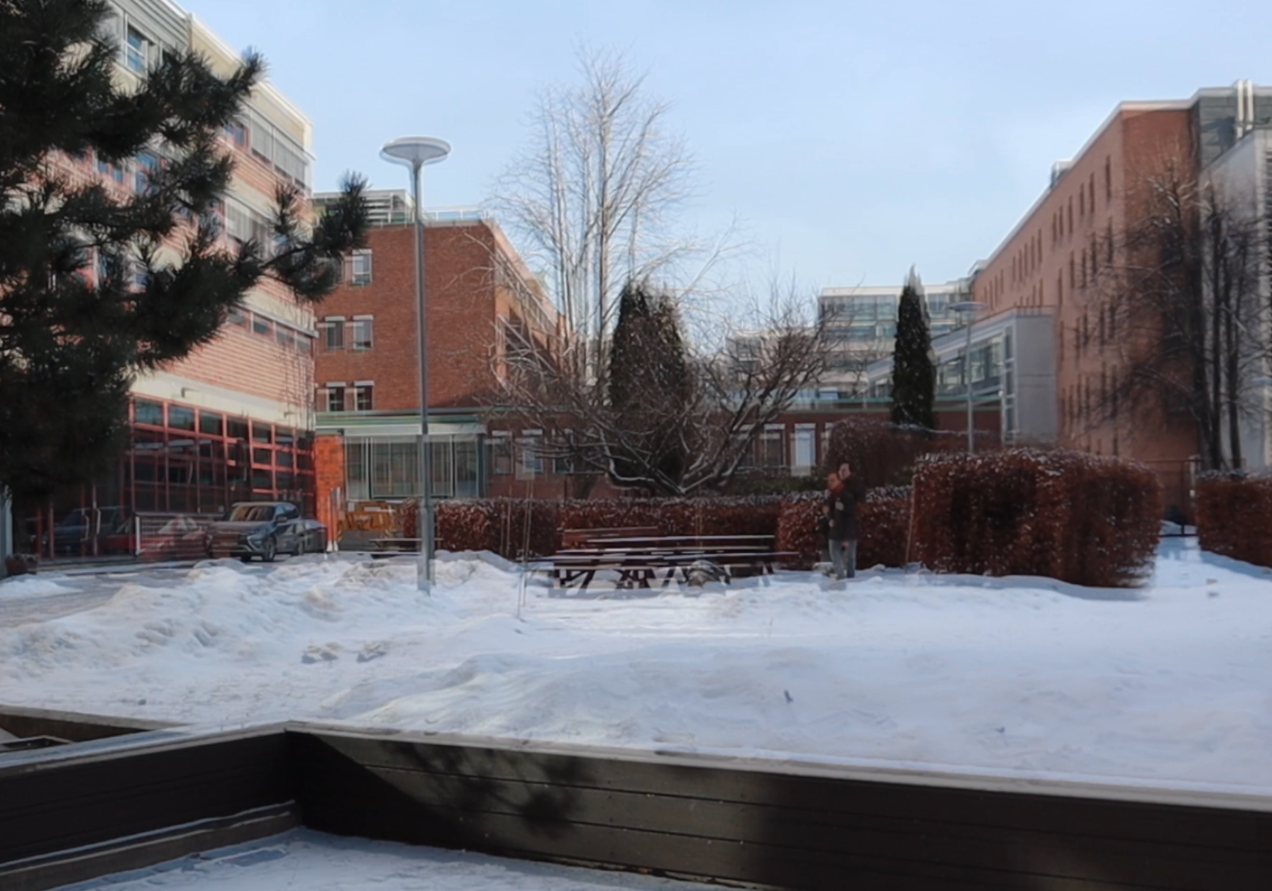 Travels in hyperreality no. 2