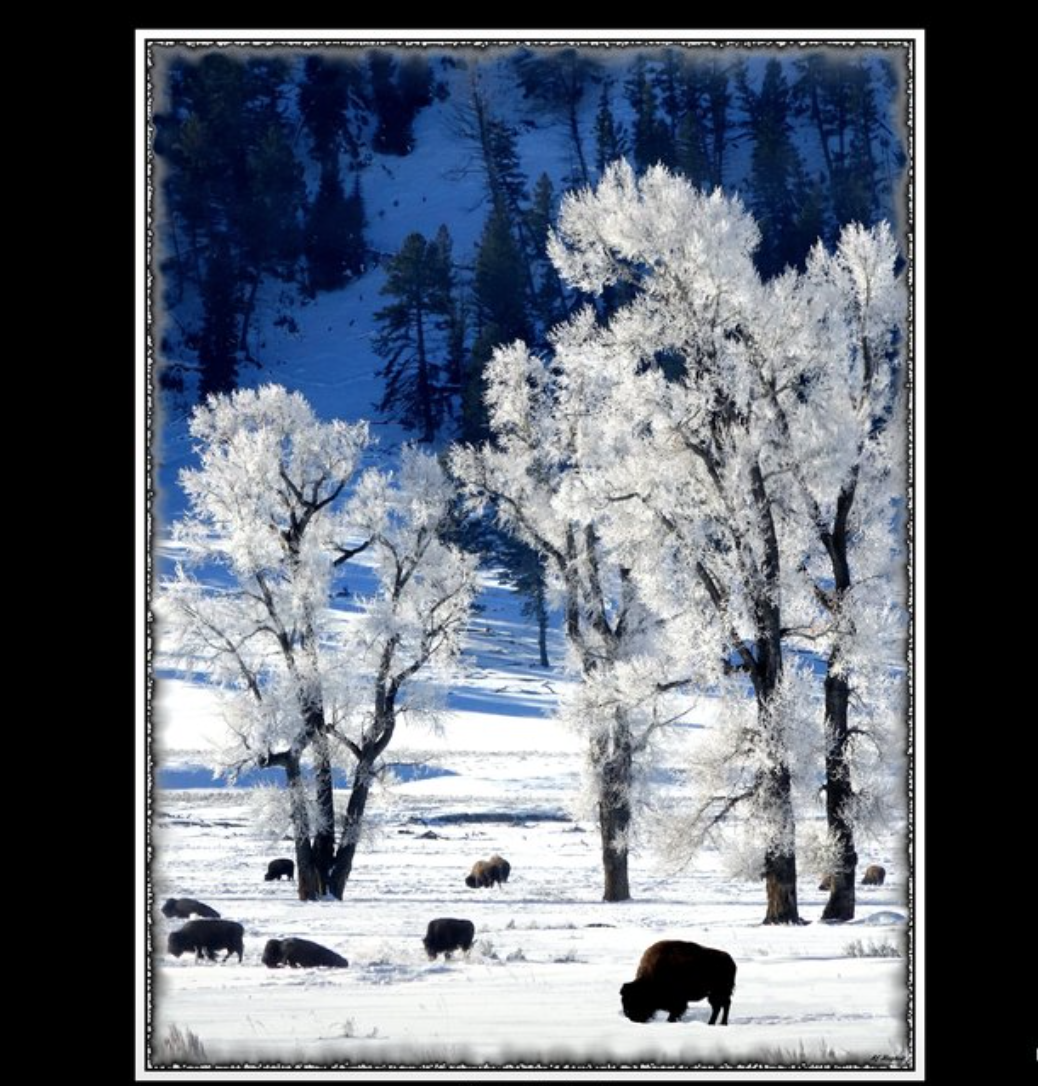 Rich Hughen- Photography
