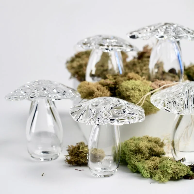 Cover Mushrooms March 2026.jpg