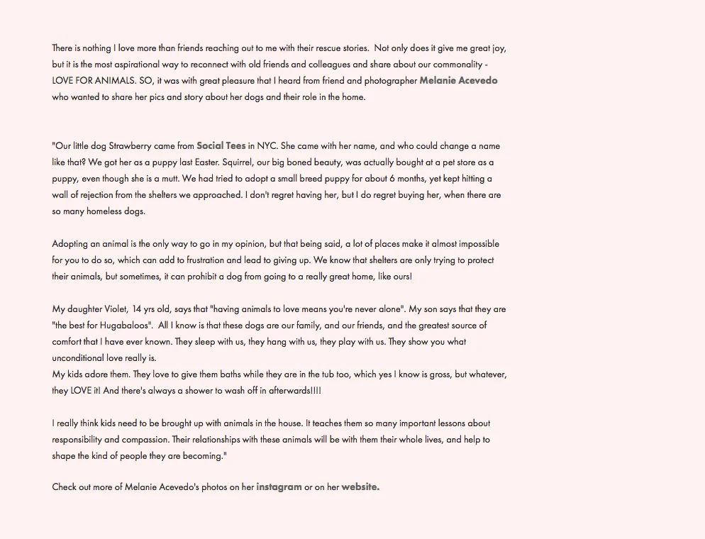 Screen Shot 2017-03-23 at 10.36.26 AM copy.jpg