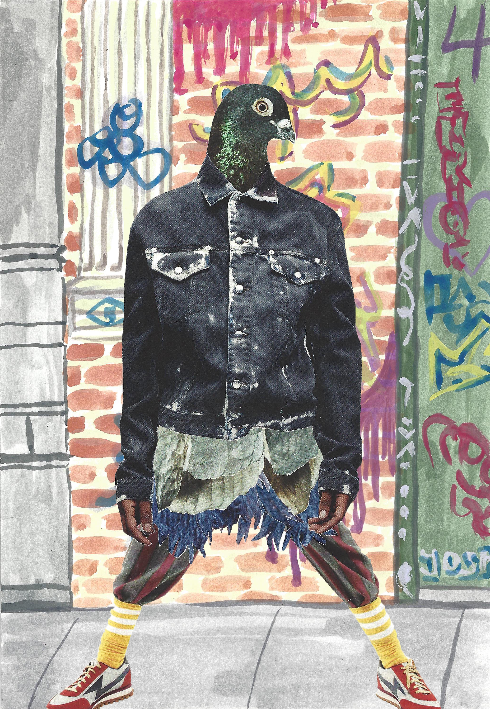 Street Style Pigeon