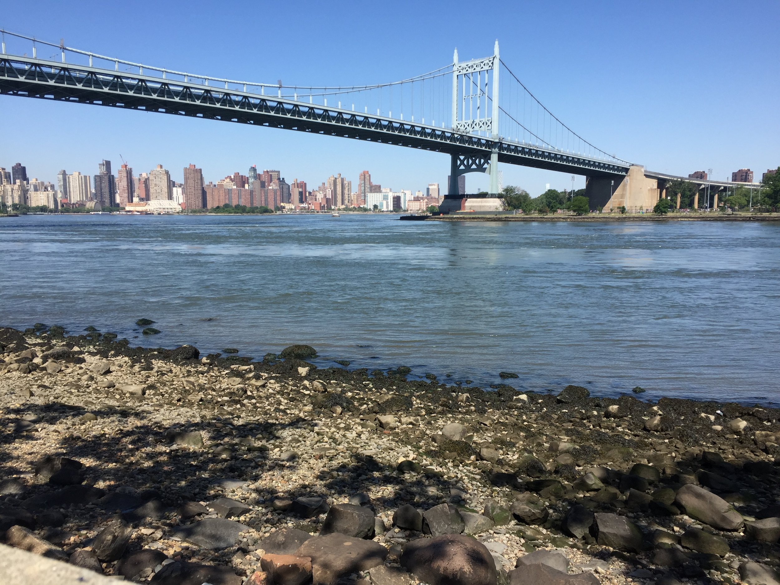 Astoria Park Alliance Community Voice Meeting