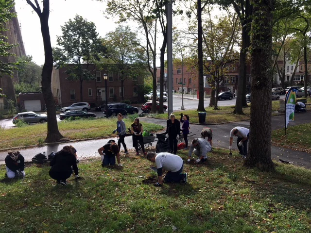 Astoria Park Cleanup | Community Volunteer Day
