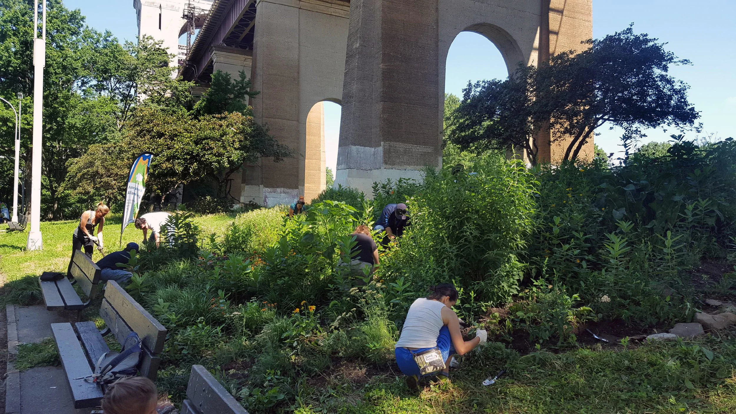 Astoria Park Beautification | Community Volunteer Day