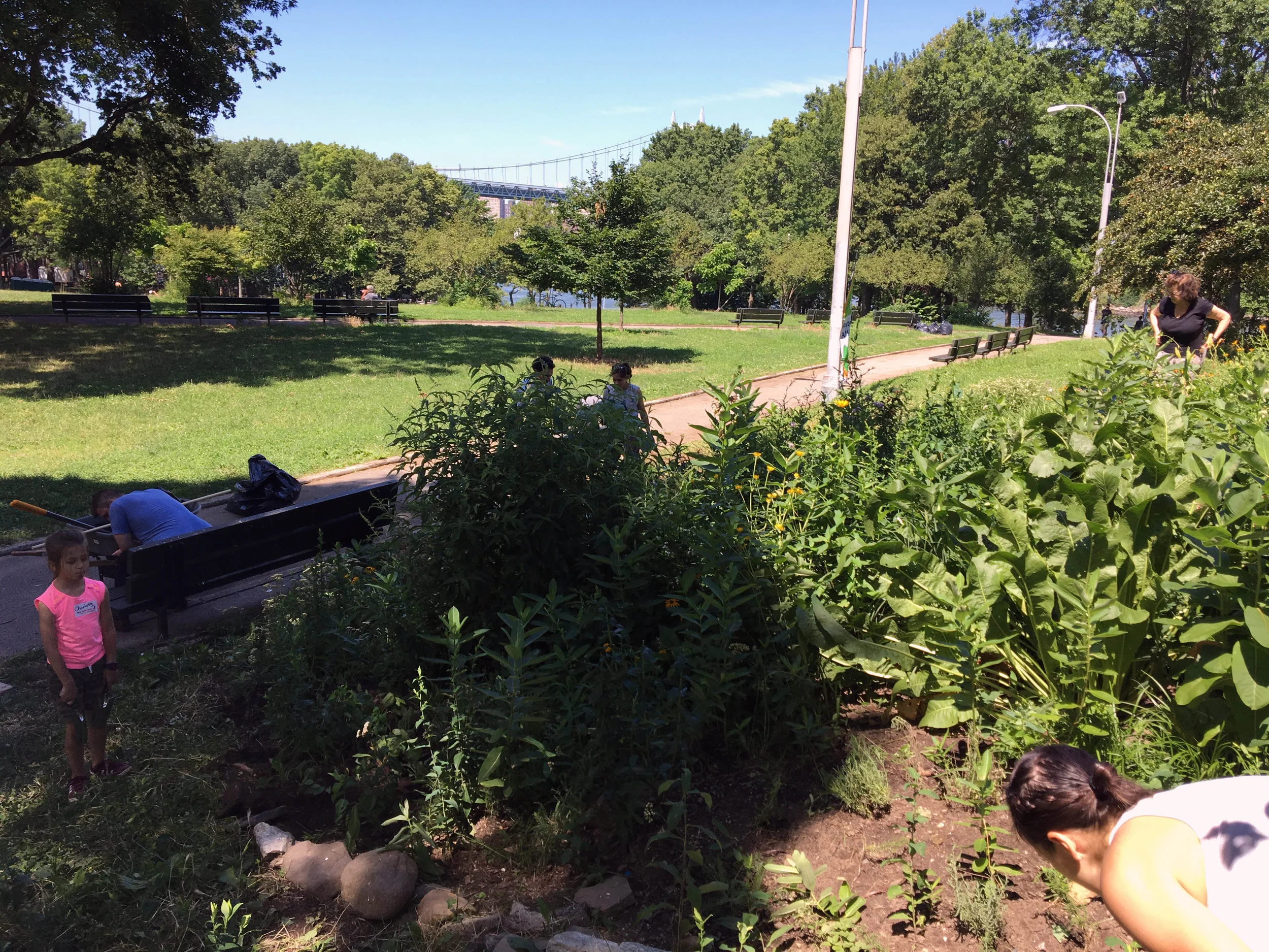 Astoria Park Beautification | Community Volunteer Day