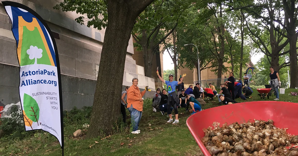 Astoria Park Daffodil Project | Community Volunteer Day