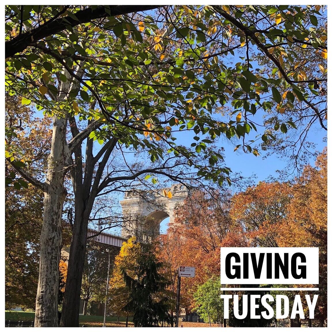 Support Astoria Park Alliance this Giving Tuesday! Donations made today will help fund volunteer activities and events in the park, including more plants for the gardens, more rakes for Leaf Fest, more music at our annual Art and Music Stroll, and mo