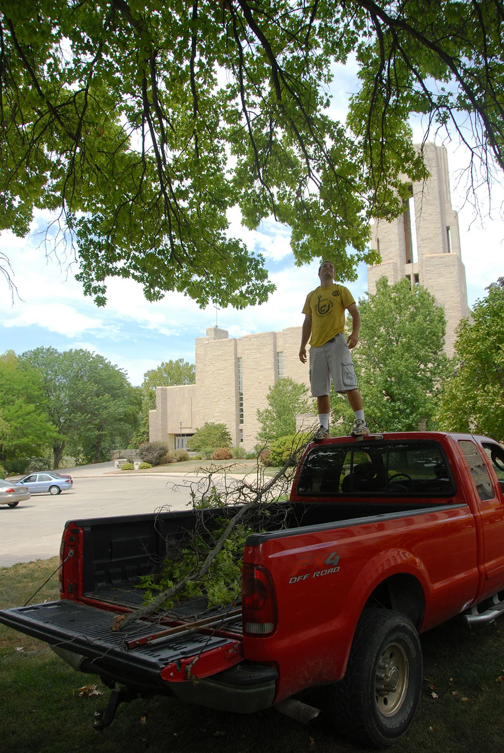 simon_tree_02.jpg