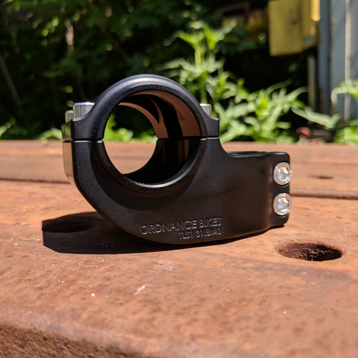 Stem_2.jpg