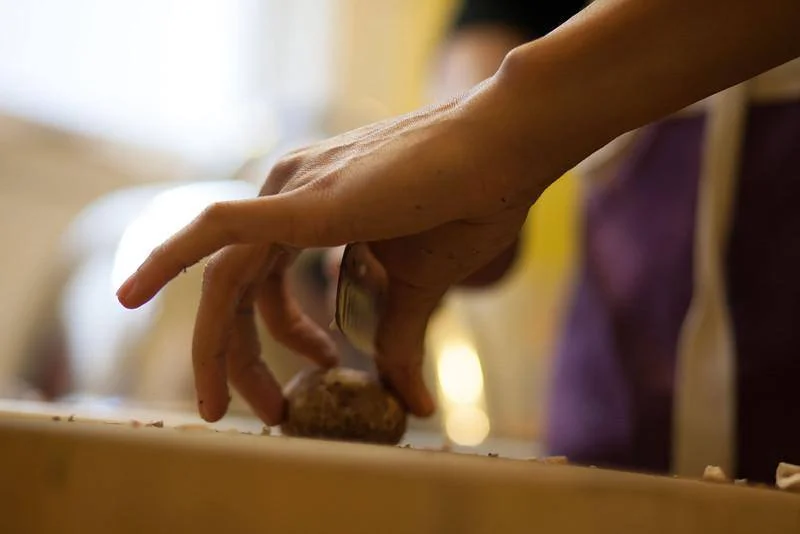 mushroom cutting.jpg
