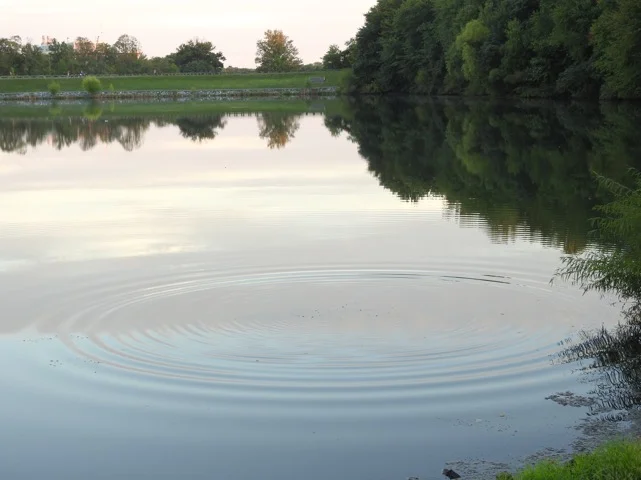 Shortened Version of Minimizing Withdrawal Problems