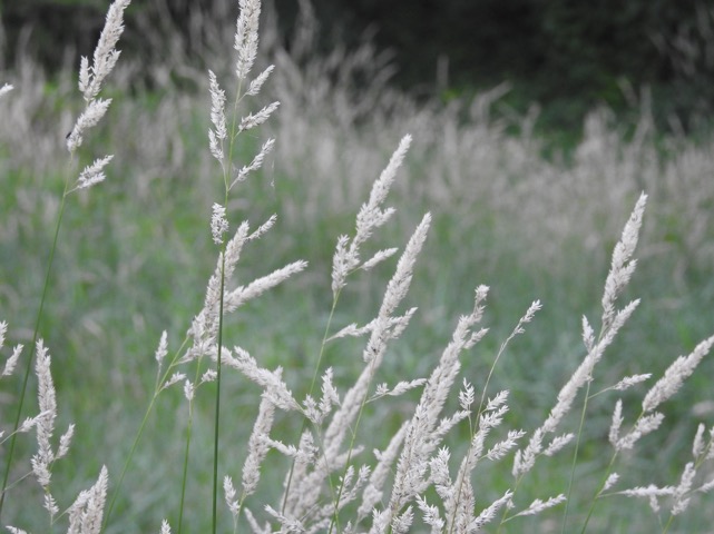 1777eea5-2e22-42a5-9045-536ecdbab096.jpeg