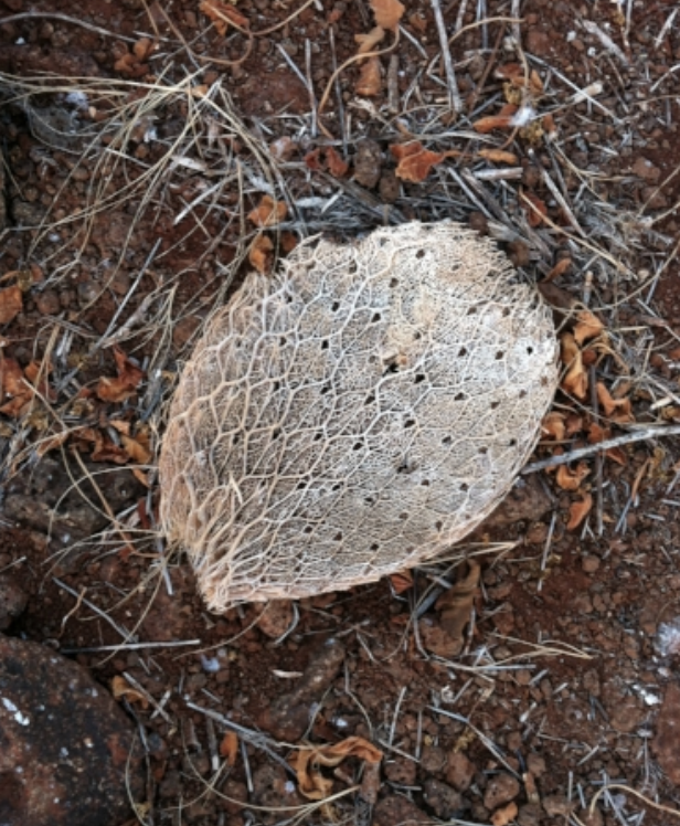 The intricacies of life…