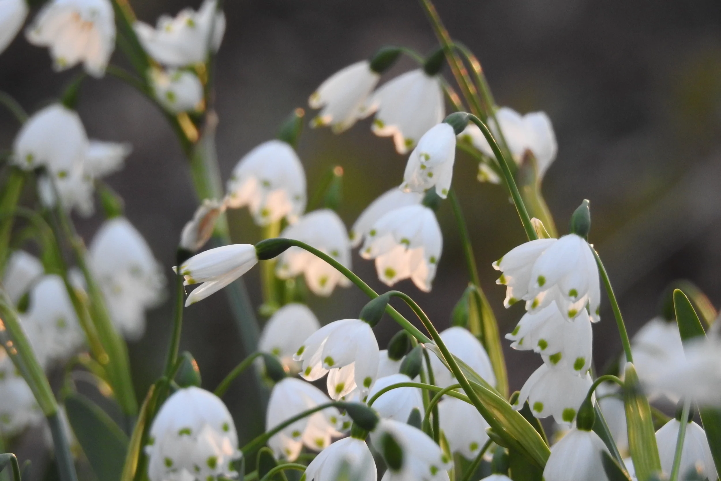 Stories of light and hope from those who have healed. . .
