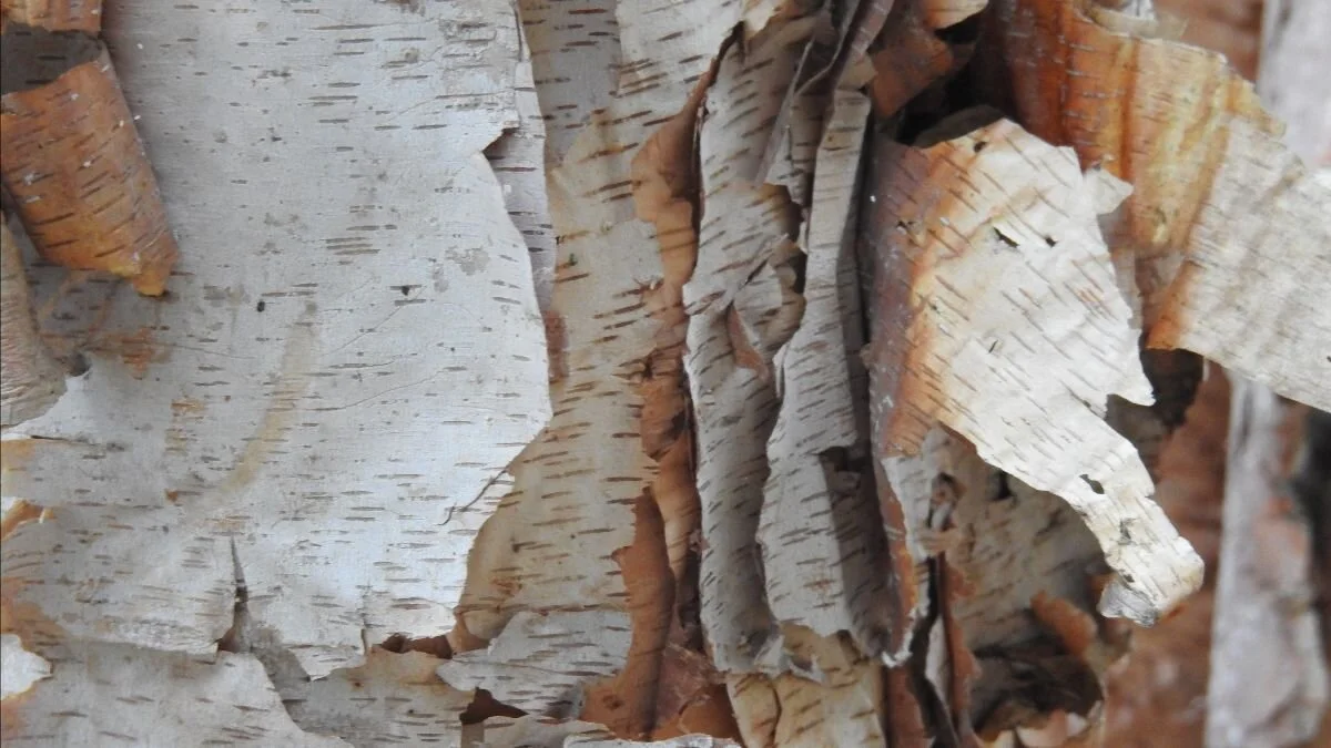 The Importance of Letting Go