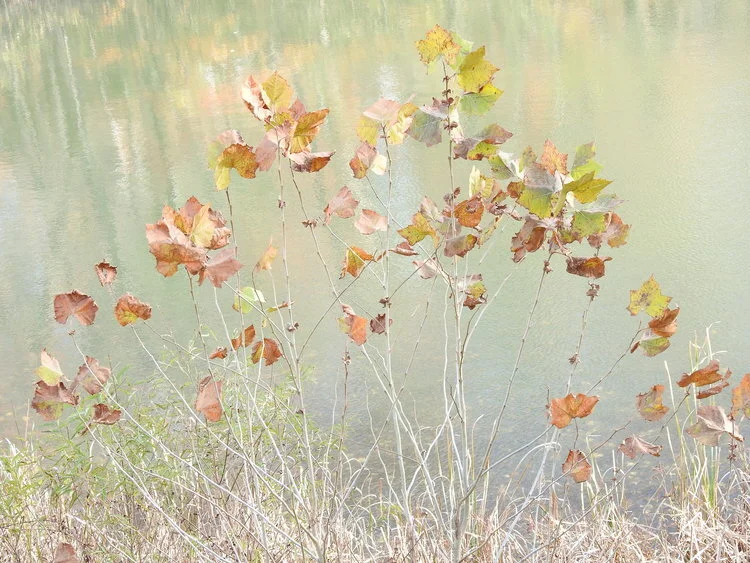 Evolution: Braving the Unknown