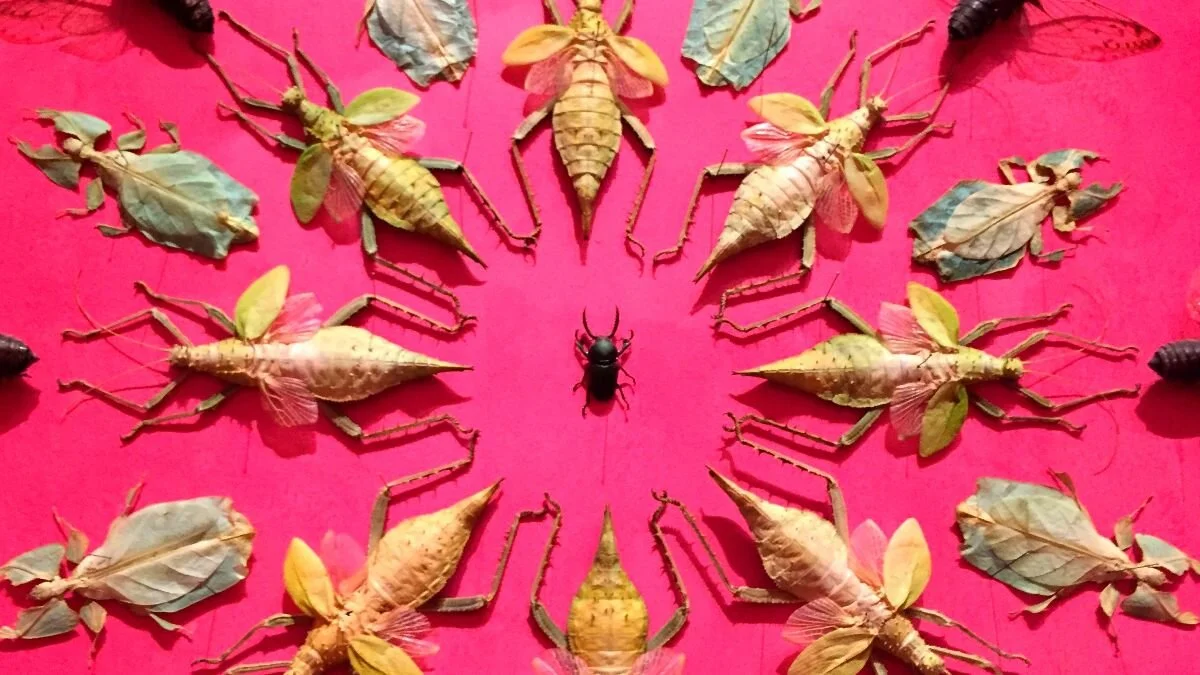 The Energetic Effects of Truth on the Body