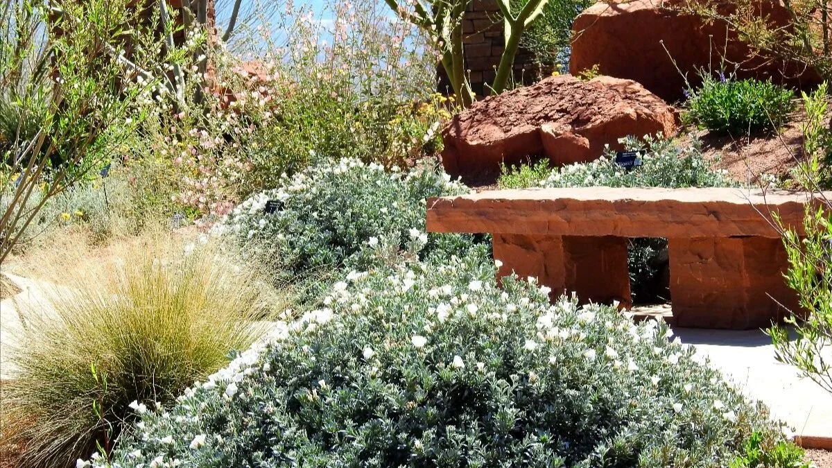 Gold Nuggets from the Integrative Healthcare Symposium 2020