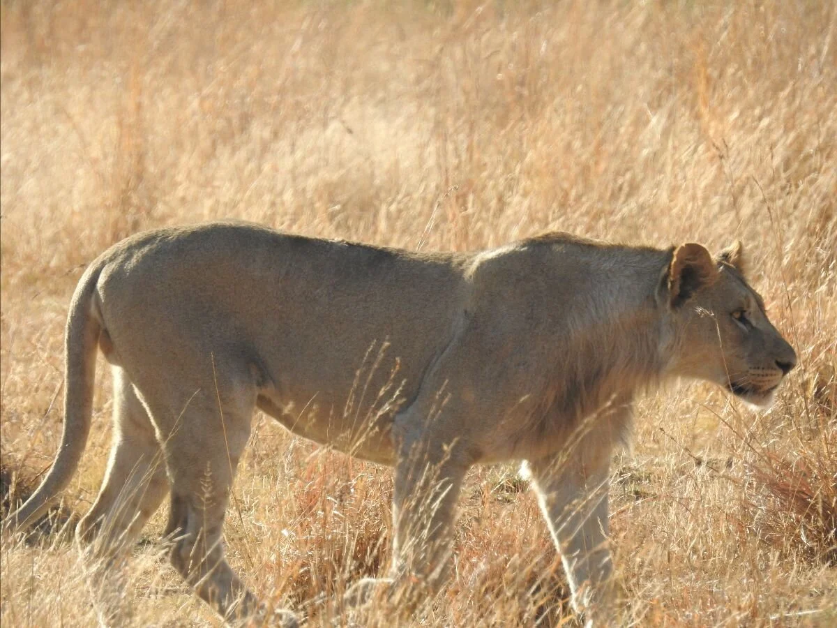 Facing Our Fears: Life and Death and All the Catastrophes in Between