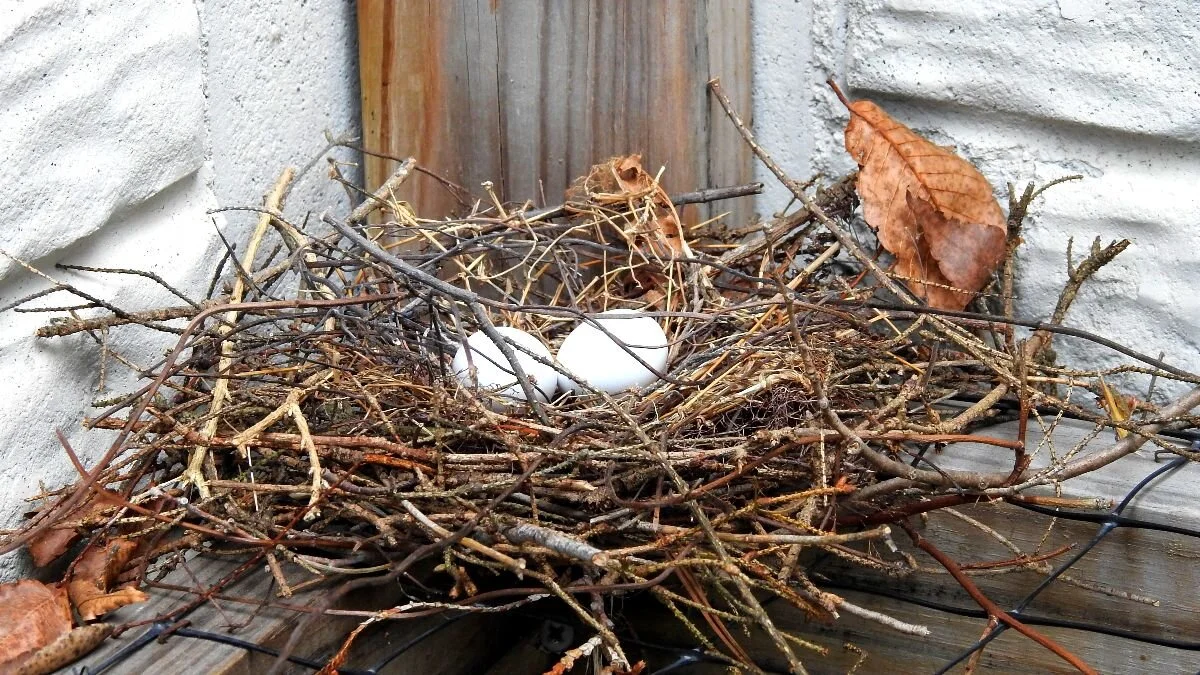 The 7 Strategies of Highly Effective People Facing a Pandemic